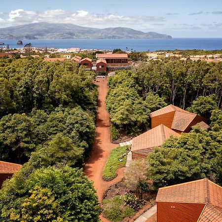 Alma Do Pico - Nature Residence Madalena  Zewnętrze zdjęcie