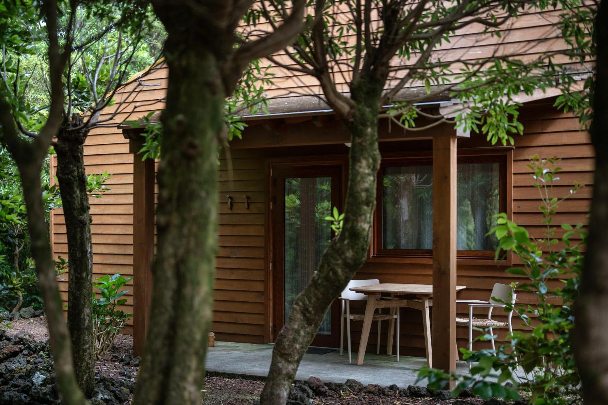 Alma Do Pico - Nature Residence Madalena  Zewnętrze zdjęcie