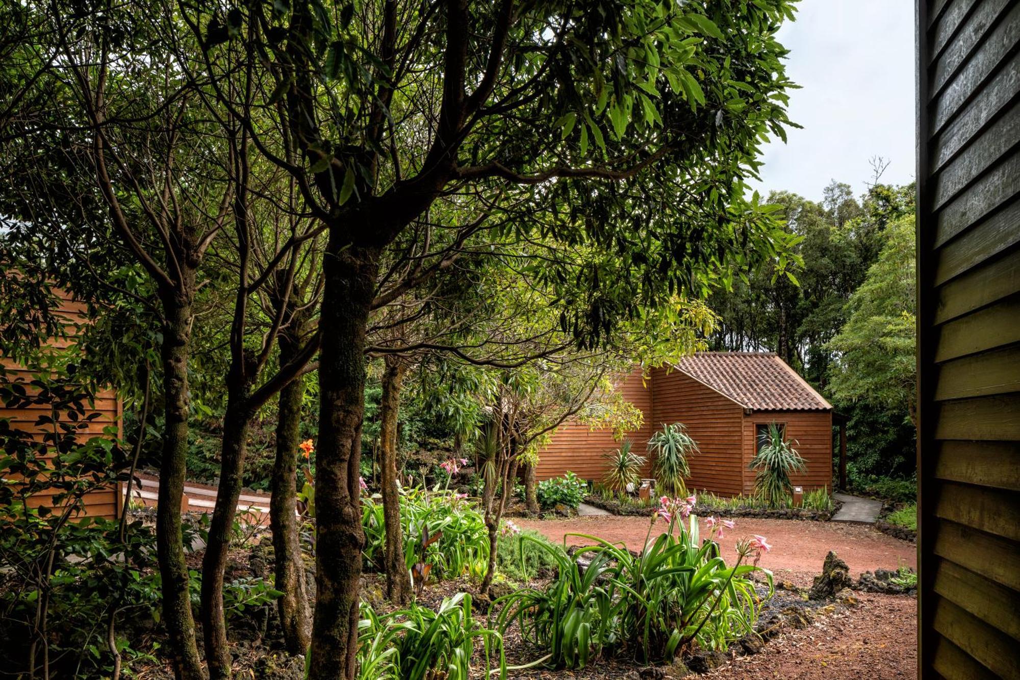 Alma Do Pico - Nature Residence Madalena  Zewnętrze zdjęcie