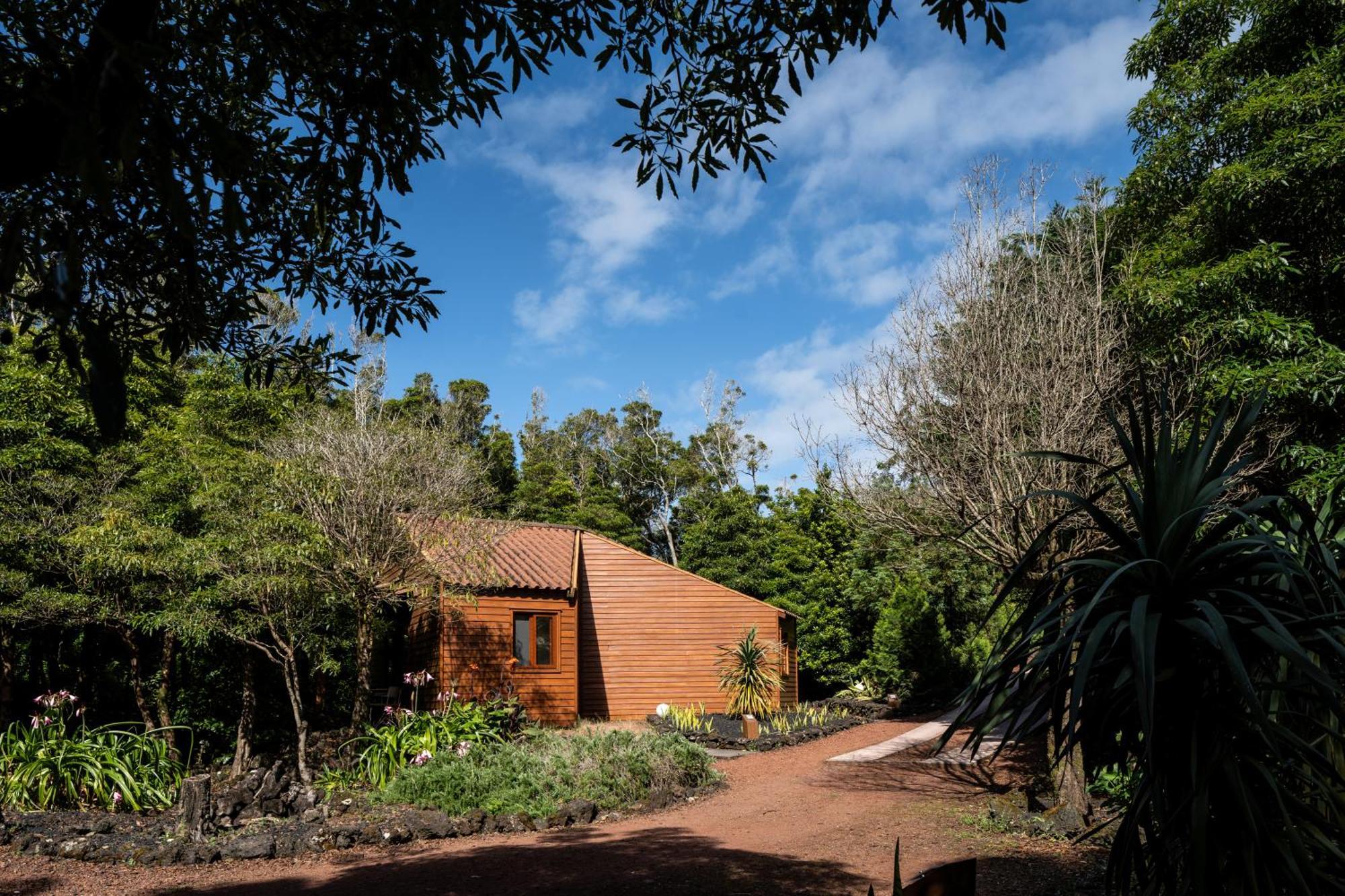 Alma Do Pico - Nature Residence Madalena  Zewnętrze zdjęcie