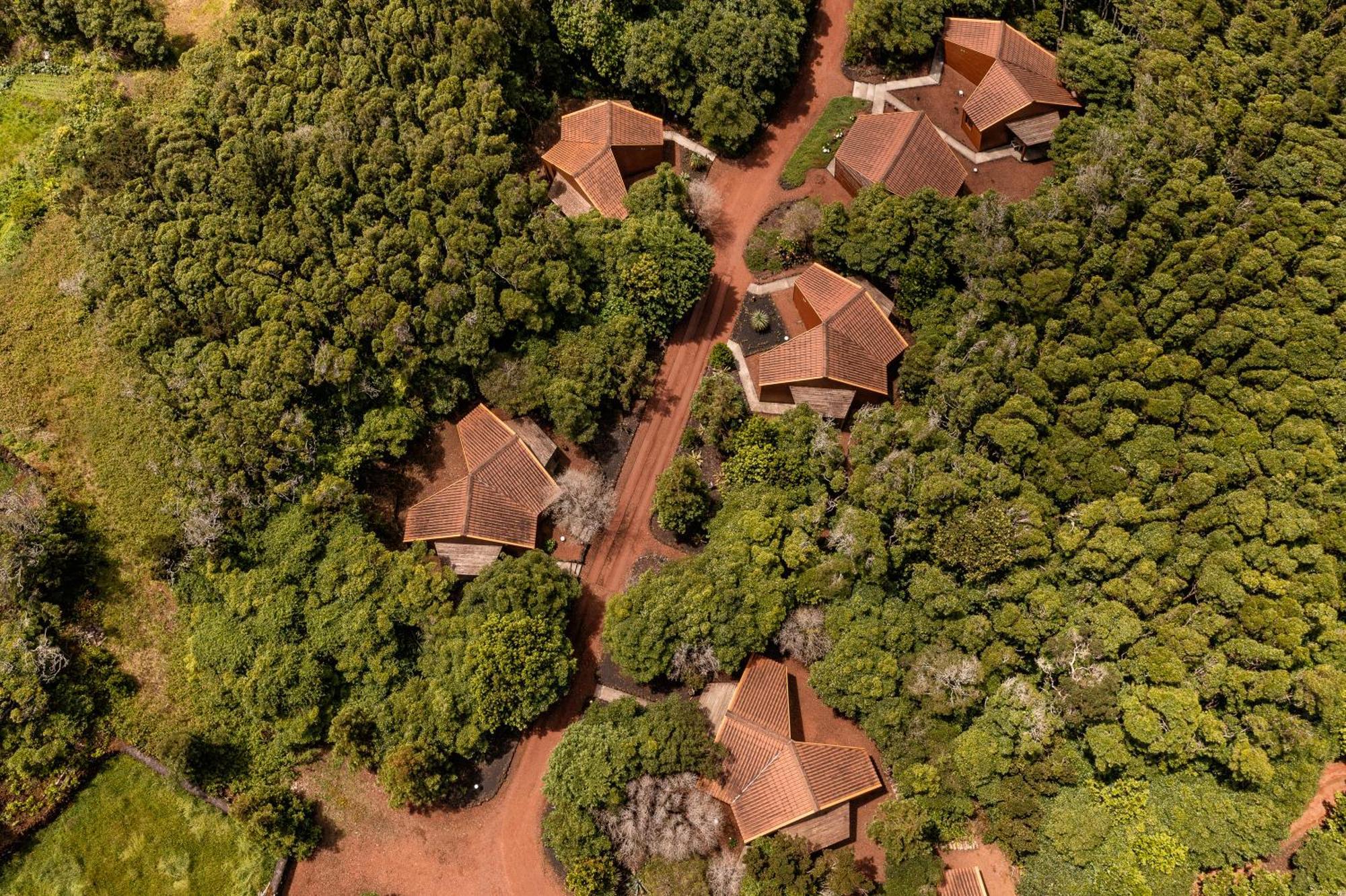 Alma Do Pico - Nature Residence Madalena  Zewnętrze zdjęcie