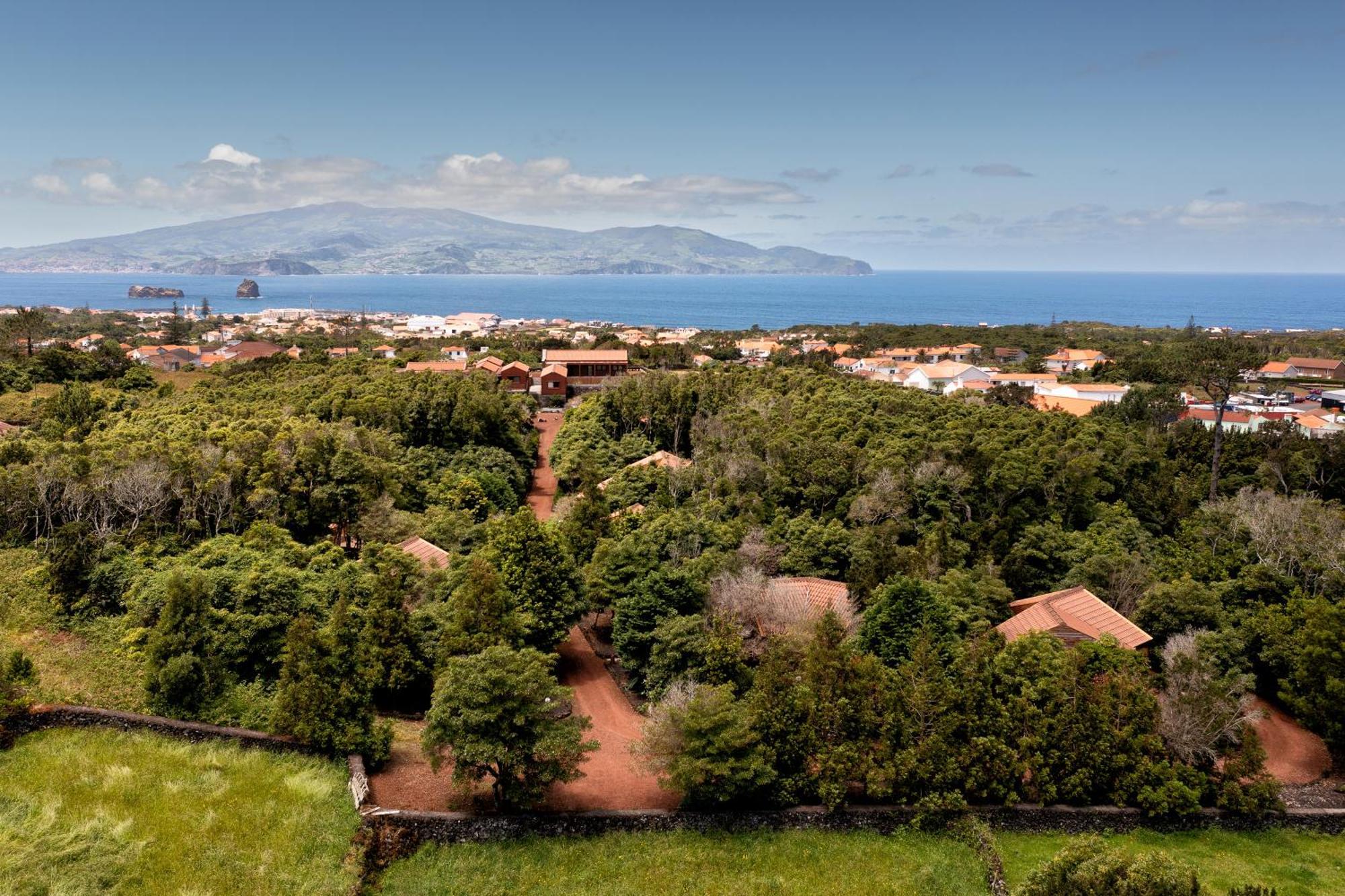 Alma Do Pico - Nature Residence Madalena  Zewnętrze zdjęcie