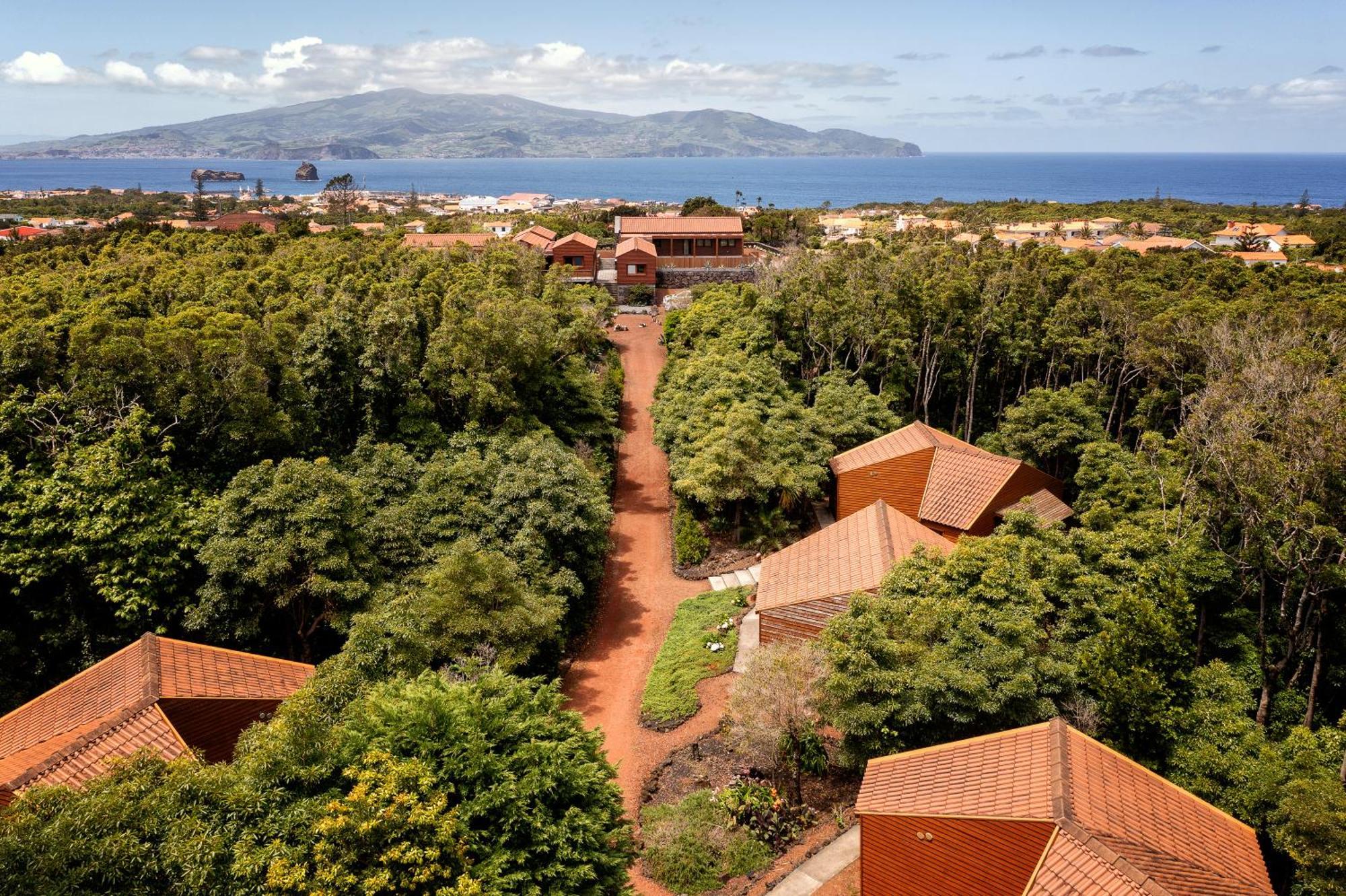 Alma Do Pico - Nature Residence Madalena  Zewnętrze zdjęcie